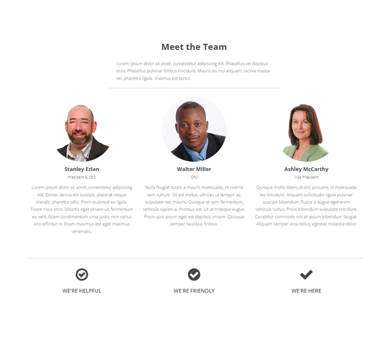 Meet The Team Page Design Design Page Designs Gahela Software